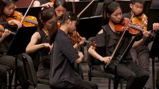 12 Concerto Grosso For Strings Karl Jenkins Palladio [upl. by Auqinu84]