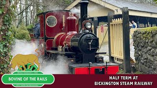 Half Term Steam at Bickington Steam Railway  15th Feb 2023 [upl. by Budde]