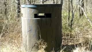 American Black Vulture quotBuzzardquot Eggs in a Deer Blind [upl. by Harvey]