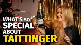 Whats So Special About TAITTINGER Champagne [upl. by Lladnarc]