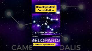 Camelopardalis Constellation youtubeshorts shorts celestialspacefacts [upl. by Gav]