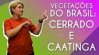 Vegetações do Brasil Cerrado e Caatinga  Brasil Escola [upl. by Ullman344]