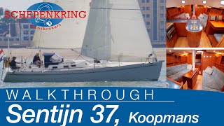 Koopmans Sentijn 37 for sale  Yacht Walkthrough   Schepenkring Lelystad  4K [upl. by Brent883]