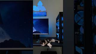 Cat  Extra Gaming Purrformance [upl. by Frager]