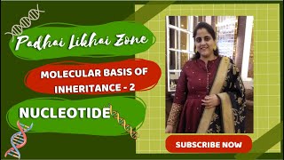 Molecular Basis of Inheritance2biology  neet2024education  molecularbasisofinheritancedna [upl. by Feltie]