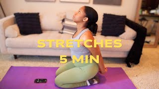 Quick Stretching Exercises 5 Min [upl. by Fredra]