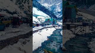 White Mountain with River View birdholidays travel shorts youtube tranding viralvideo snow [upl. by Aleakam640]