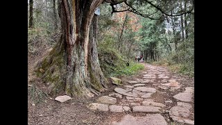 Jinniu Path of Ancient Shu Road Part 4 Hanyang 汉阳  Bailong 白龙 [upl. by Aurelie]