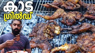 നല്ല മൊരിഞ്ഞ കാട ഗ്രിൽഡ്  Grilled Kada  Quail Grill Recipe Malayalam  Kada F [upl. by Jaimie399]