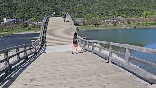 Kintaikyo Bridge 錦帯橋  下尾みうちゃんのおすすめの山口の名所 [upl. by Harwill]