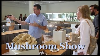 Annual Mushroom Show with Illinois Mycological Association [upl. by Carlyn]