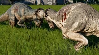 Jurassic World Evolution  Pachycephalosaurus vs Pachycephalosaurus 1080p 60FPS [upl. by Germann]