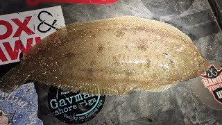 beach fishing for cod and dover sole in Eastbourne sea fishing UK [upl. by Naylor144]