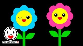 Baby Sensory  Dance Series  Flowers  High Contrast Color Animation fun video for baby [upl. by Verine469]