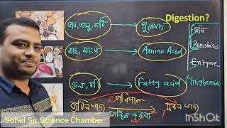 HSC Zoology Chapter 03 lec 01 [upl. by Hartzell]