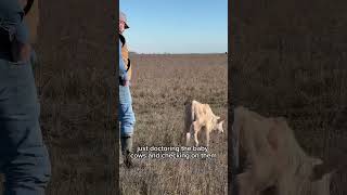 My Feral kid needs a shewee feral farmkids countrylife ranching familytime funny [upl. by Anal]