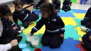 Taller ¿dulce o salado E Infantil Casvi [upl. by Agata]