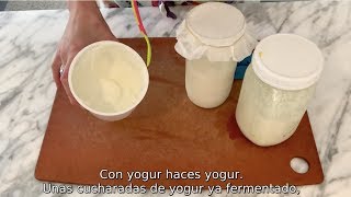 LOS BÚLGAROS NO PRODUCEN YOGUR fermentos mesófilos vs termófilos [upl. by Mattheus]