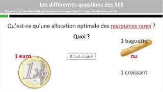 Les économistes les sociologues et les politistes se posent des questions différentes [upl. by Perni]