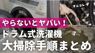 【ヤバいホコリの塊ズルズル】パナソニックドラム式洗濯機のお掃除手順と注意点まとめ [upl. by Rogozen691]