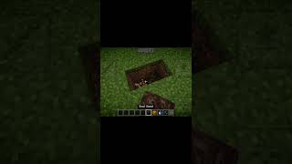 Minecraft Hack minecraft trending shorts gaming [upl. by Simeon]