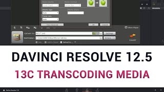 DaVinci Resolve 125  13c Transcoding Media [upl. by Yddor]