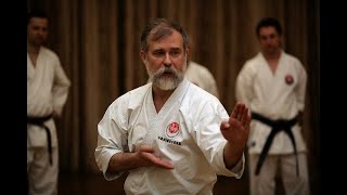 Asai Kata Dai Itsu KenBassai Kihon and Bunkai step by step Dormenko Sensei 8 dan [upl. by Kataway]