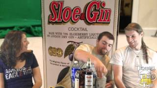 Mr Boston Sloe amp Gin Sloe Gin Fizz Review [upl. by Mcbride712]