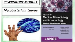 Respiratory microbiology mycobacterium laprae leprosy levinson bacteria microbiology [upl. by Clemmie]