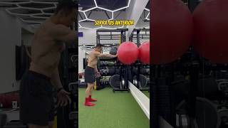 Serratus Anterior Exercise 1  Rehab復康 [upl. by Alisia126]