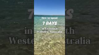 How to spend 7 days in Exmouth Western Australia itinerary Snorkelling Whale Sharks Turtles [upl. by Alletse300]