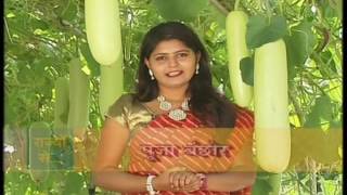 KRISHI DARSHAN NARROWCASTING  LAUKI KI VAIGYANIK KHETI DT 21112016 [upl. by Amak]