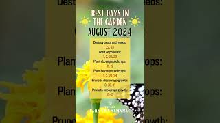 Best Days in the Garden AUGUST 2024 [upl. by Emelina]