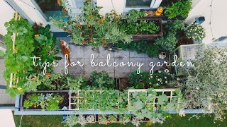 28 Essential Tips for Starting a Balcony Vegetable Garden  Urban Gardening [upl. by Sik]