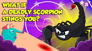 How Does Scorpion Sting  Scorpion Venom Effects  Most Deadliest Scorpions  Dr Binocs Show [upl. by Dikmen]