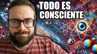 El Panpsiquismo no es tan loco como piensas 🤯  Problema de la conciencia [upl. by Aisel156]