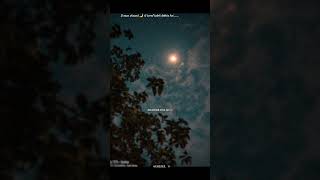 Piya lage na 🫵❤️song WhatsApp status  part1  SONULYRICAL19 shorts status moonlight [upl. by Camfort]