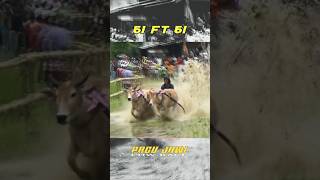 COW RACE 61 FT 61 ❗PACU JAWI shortvideo pacujawi cowrace karapansapi pacujalur [upl. by Eerehc]