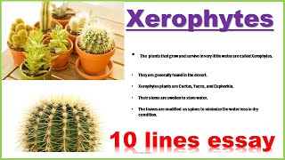 Xerophytes  10 lines essay on Xerophytes  10 lines on Xerophytes [upl. by Parrnell]