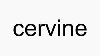 How to pronounce cervine [upl. by Kirad]