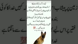 ایک کتے اور ایک بزرگ کا خوبصورت واقعہ eik dogand bazark ka waqia ytshortquotes yttrendingshorts [upl. by Omissam]