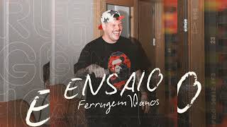 ENSAIO FERRUGEM DVD 10 ANOS COMPLETO [upl. by Maggio]