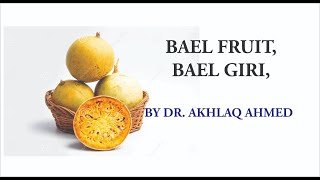 BAEL GIRI  BAEL FRUIT Aegle marmelos [upl. by Mayman]