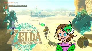 Into the Gerudo Desert  The Legend of Zelda Tears of the Kingdom [upl. by Ahsinnor]