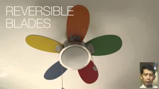 How to Transform the Look of a Room With a Ceiling Fan [upl. by Fretwell530]