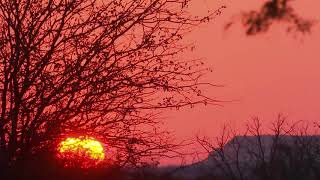 Hunting in Adansonia Safaris [upl. by Mauralia824]