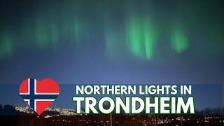 Northern Lights in Trondheim  Awesome Aurora Display in Trondheim Norway [upl. by Yeleak]