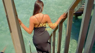 Maldives 2023  OBLU XPERIENCE Ailafushi  4K Cinematic [upl. by Shulem]