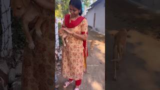 தோட்டத்தில் ஒரு பொழுது 🥰… Minivlog  Vennila Veedu Shorts [upl. by Sreip]