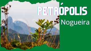 Nogueira Petrópolis [upl. by Guenzi]